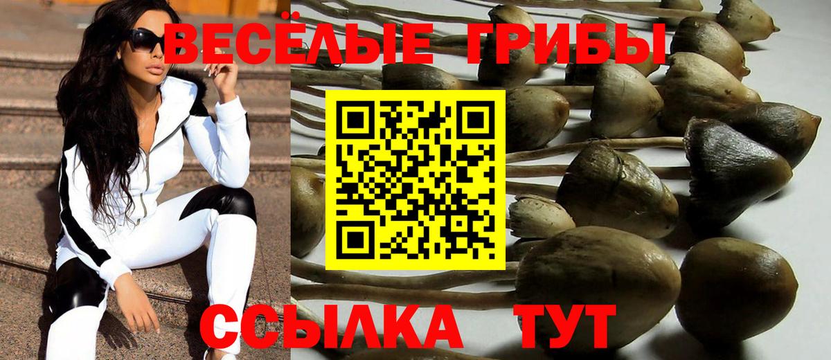 Галлюциногенные грибы MAGIC MUSHROOMS  Вход с VPN  Кохма 