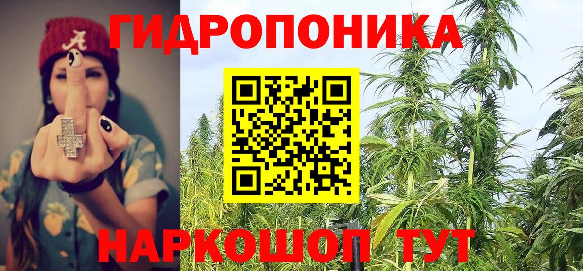 Конопля Ganja Кохма